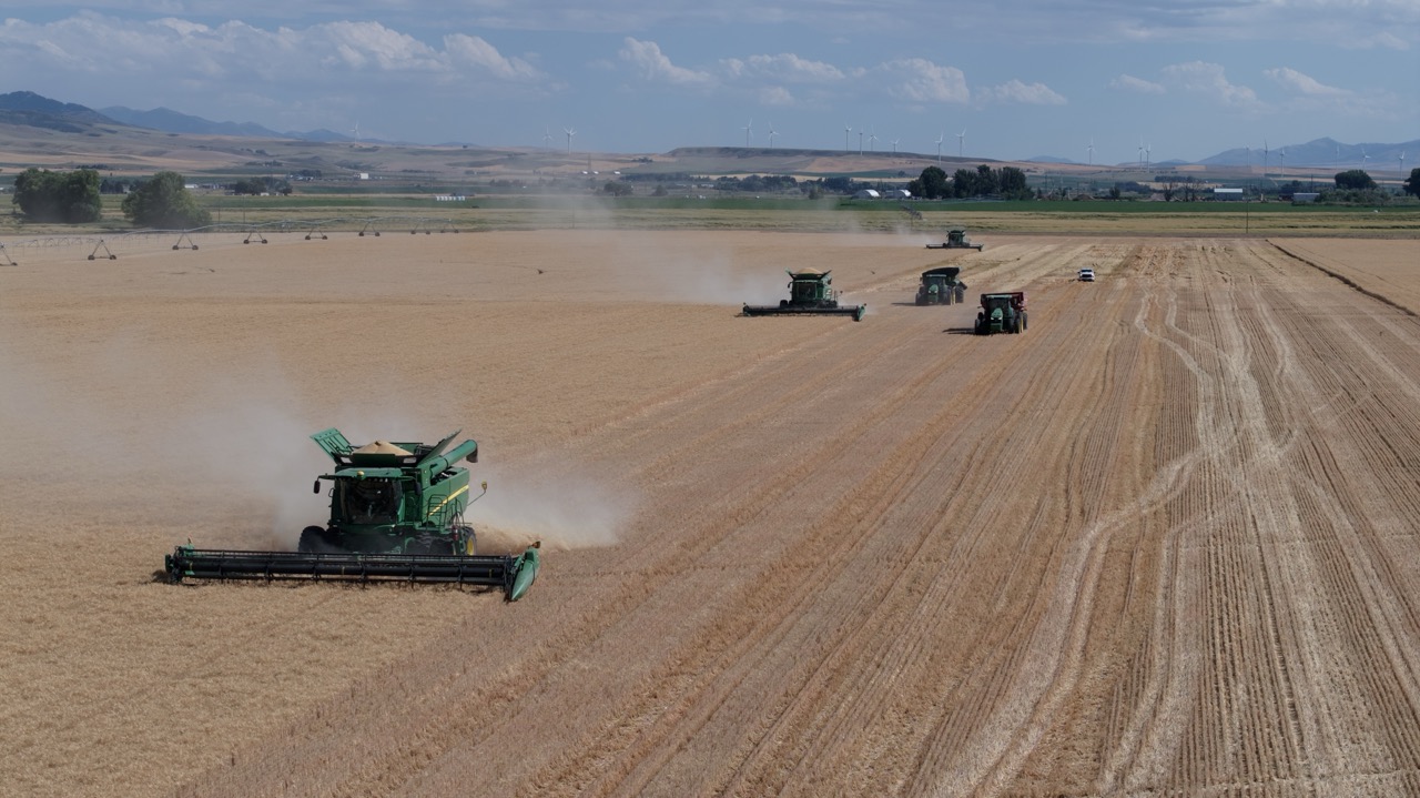 custom harvest solutions